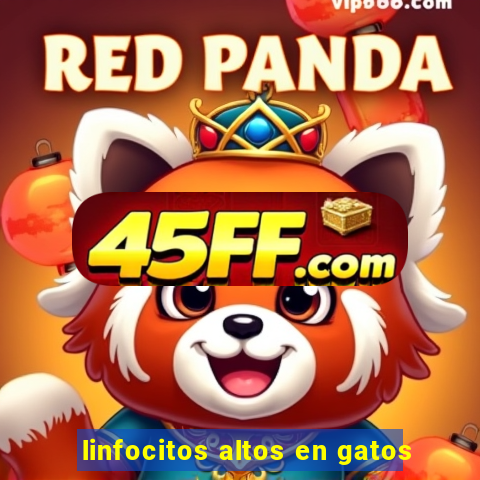 linfocitos altos en gatos